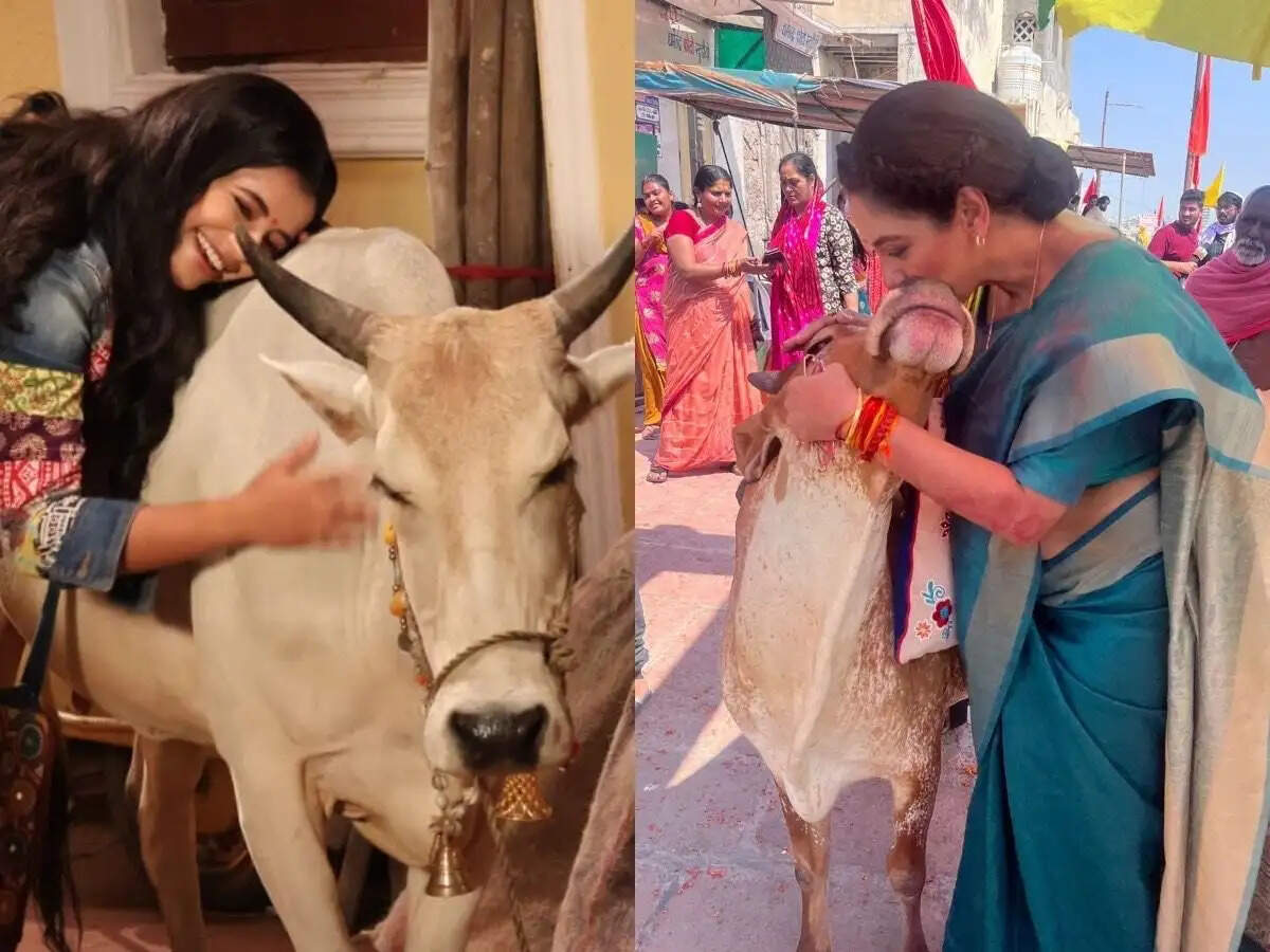 Deepa Shahi and Rajan Shahi's Anupamaa always expresses concern for Animals! 