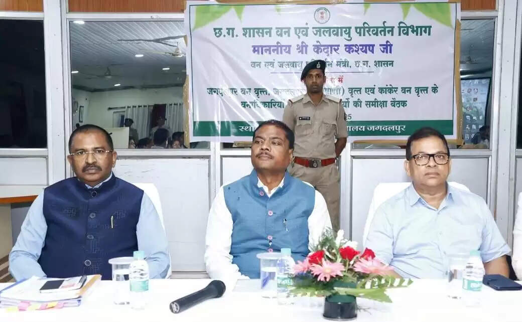 CG News: वन मंत्री केदार कश्यप ने की वन विभाग के कार्यों की समीक्षा, ग्रामीण रोजगार को मिलेगा बढ़ावा