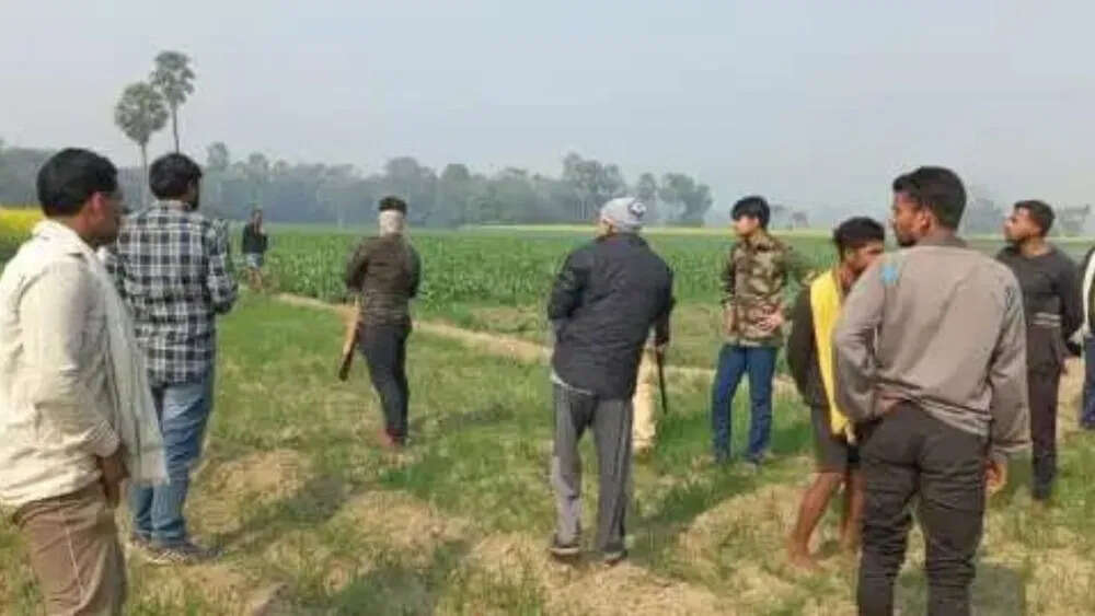 Begusarai: बेगूसराय में 42 कुत्तों का एनकाउंटर, पटना के शूटर्स ने मारी गोली कुत्तों ने ली थी 8 लोगों की जान