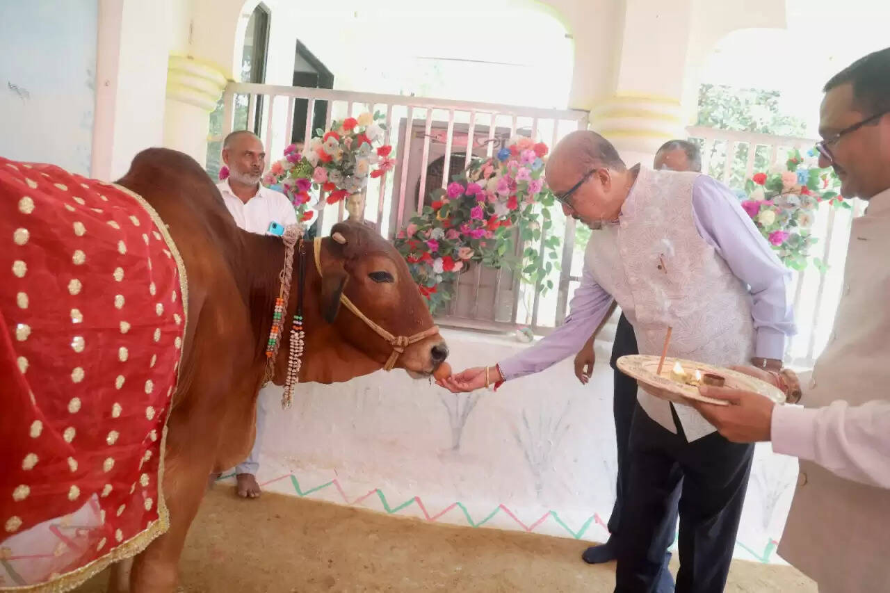 CG News: गौ सेवा रत्न अलंकरण महोत्सव- राज्यपाल ने गौशाला में की पूजा अर्चना