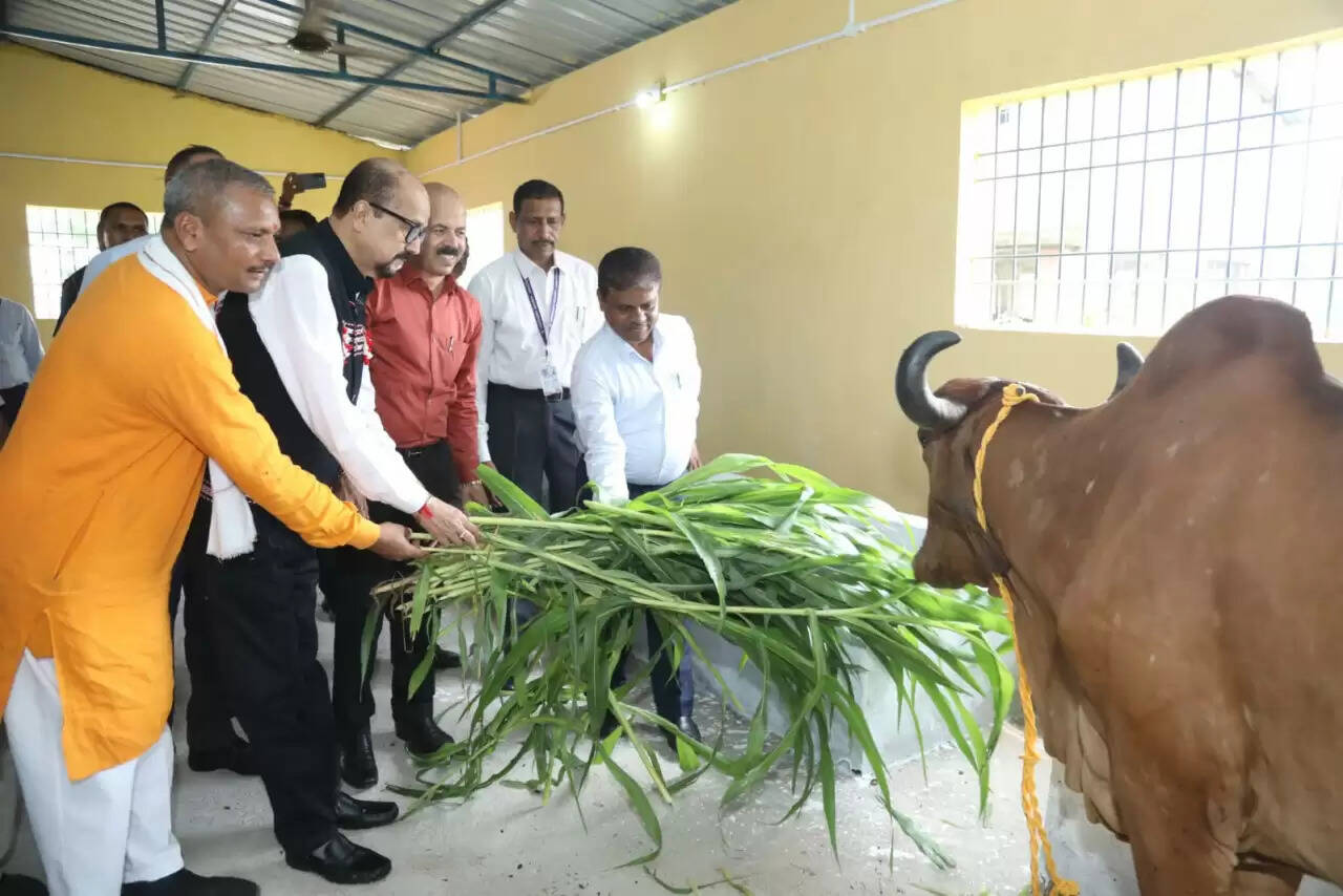 CG News: राज्यपाल डेका ने गौशाला का किया लोकार्पण, महिला स्वसहायता समूह की महिलाओं से किया संवाद