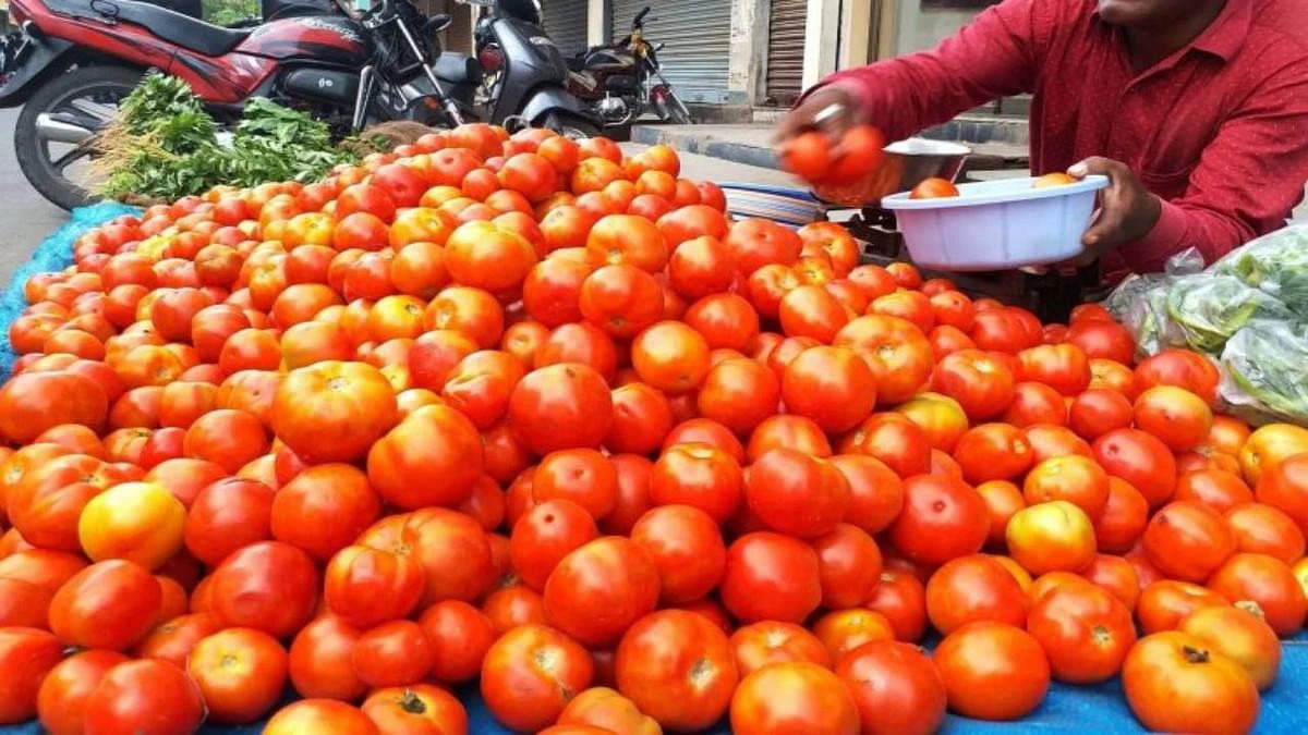 रातोंरात टमाटर ने किसान को बनाया करोड़पति, 45 दिन में 4 करोड़ की कमाई