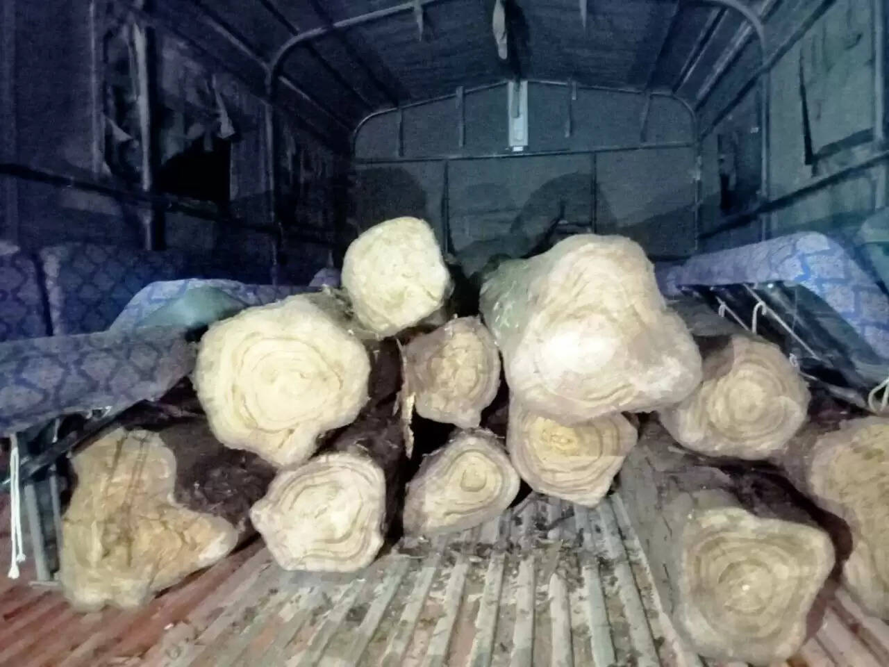 Kondagaon News: पुलिस और वन विभाग की संयुक्त कार्रवाई, केशकाल वनमंडल के जंगल से अवैध परिवहन करते सागौन की लकड़ी जब्त
