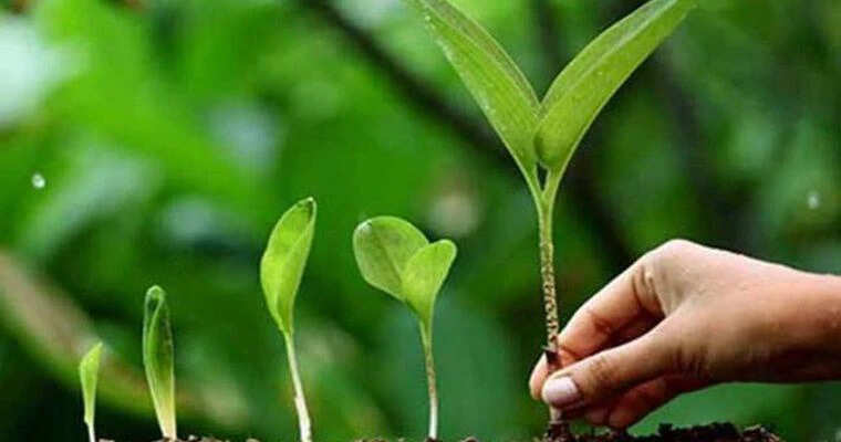Ashadh Amavasya 2022: जानिए किस दिन रहेगी आषाढ़ मास की अमावस्या, जानिए इस दिन क्या करने से मिलेंगे शुभ फल?