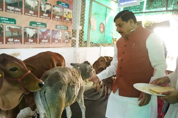 MP News: सीएम मोहन यादव ने सपरिवार पूजा-अर्चना और गौमाता की सेवा कर की दिन की शुरूआत