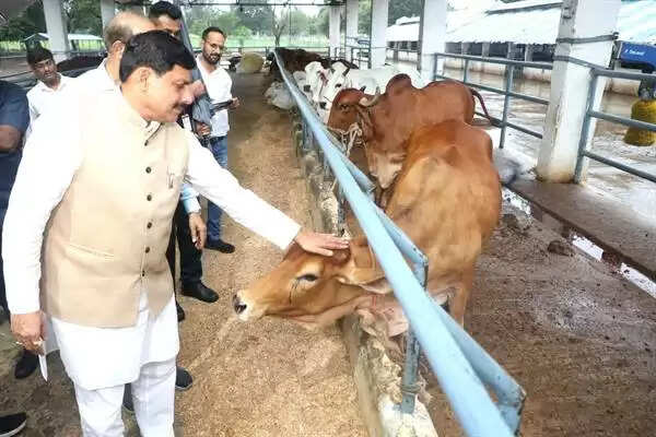 MP News: पशुपालन से किसानों की बढ़ेगी आय, बनेंगे आत्मनिर्भर- मुख्यमंत्री मोहन यादव