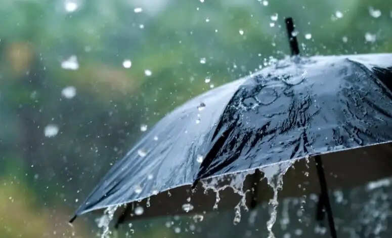 Bihar News: बिहार में गरज के साथ भीषण आंधी-पानी का अलर्ट जारी, गर्मी से मिलेगी राहत