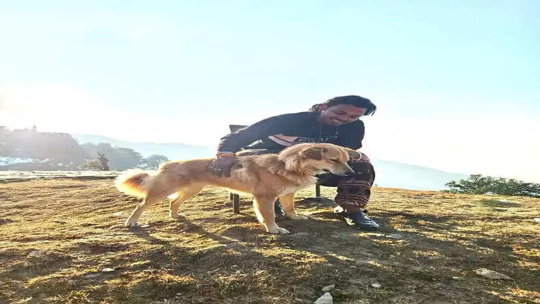 Spiritual healer Ayush Gupta to offer reiki to rescue animals