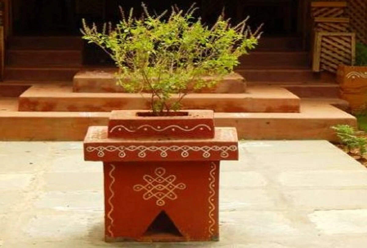 तुलसी के आसपास ये चीजें रखने से सूख सकता है पौधा, मां लक्ष्मी को प्रसन्न रखने के लिए रखें इनका ध्यान