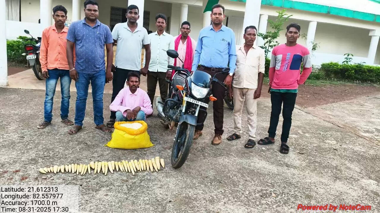 CG News: बांस करील एवं पिका के अवैध परिवहन पर कार्रवाई, आरोपी गिरफ्तार