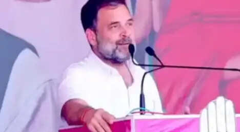PM मोदी को कांग्रेस नेता राहुल गांधी ने कहा पनौती, वे ना ही जाते तो अच्छा रहता, हम विश्व कप जीत जाते