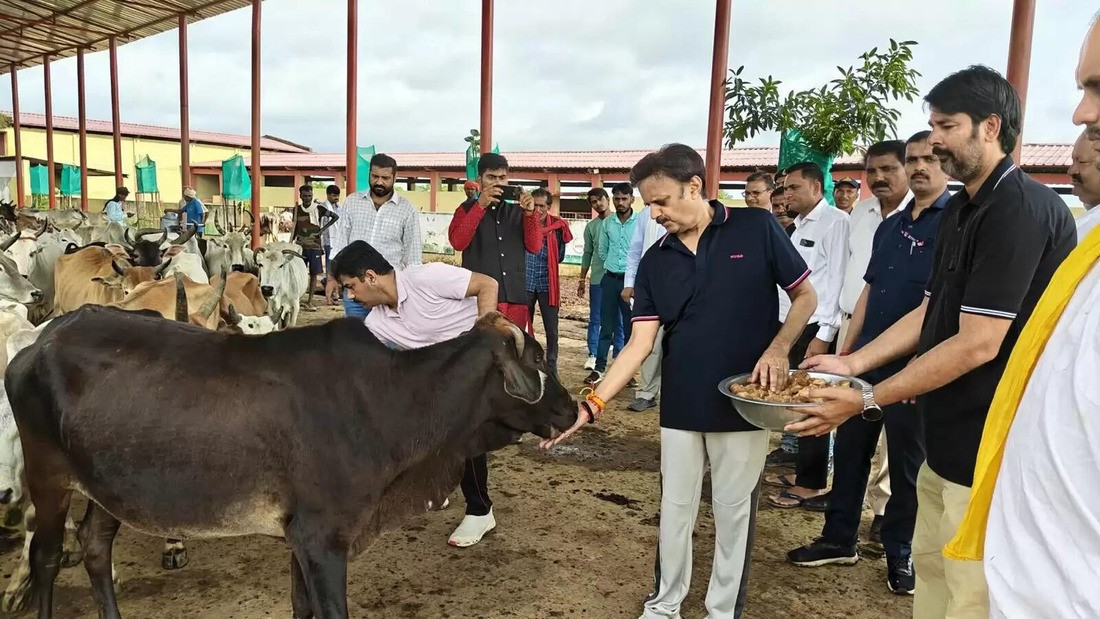 MP News: डिप्टी सीएम राजेन्द्र शुक्ल ने बसामन मामा वन्य विहार में निर्माण कार्यों का किया लोकापर्ण