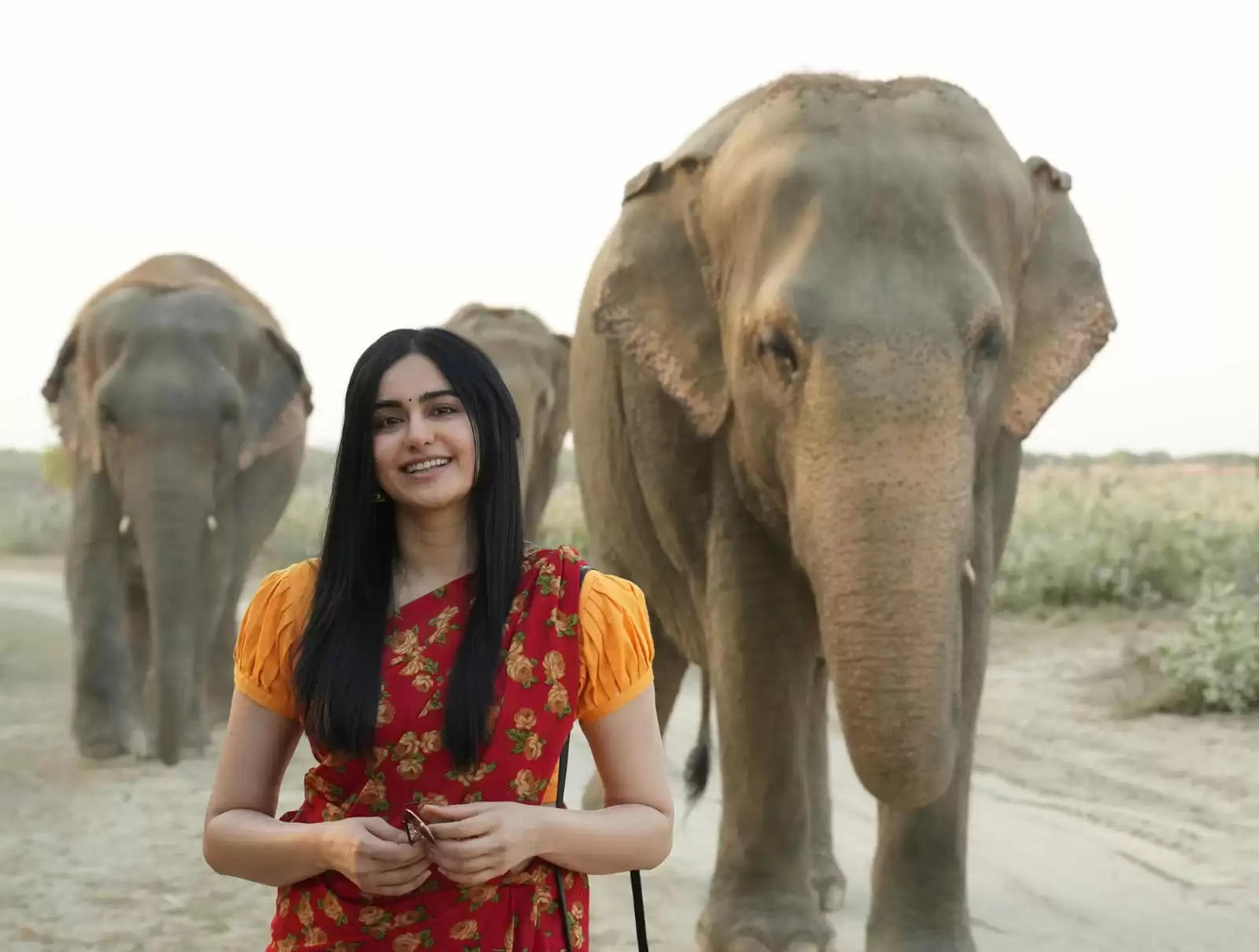 अदा शर्मा ने वाइल्डलाइफ एसओएस से मिलाया हाथ दुर्व्यवहार करने वाले हाथियों के लिए 