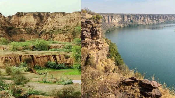 Chambal Beehad Safari: मध्य प्रदेश के चंबल में बनेगी सफारी, खूंखार डाकुओं के लिए बदनाम रहे बीहड़ में मना सकेंगे पर्यटक पिकनिक