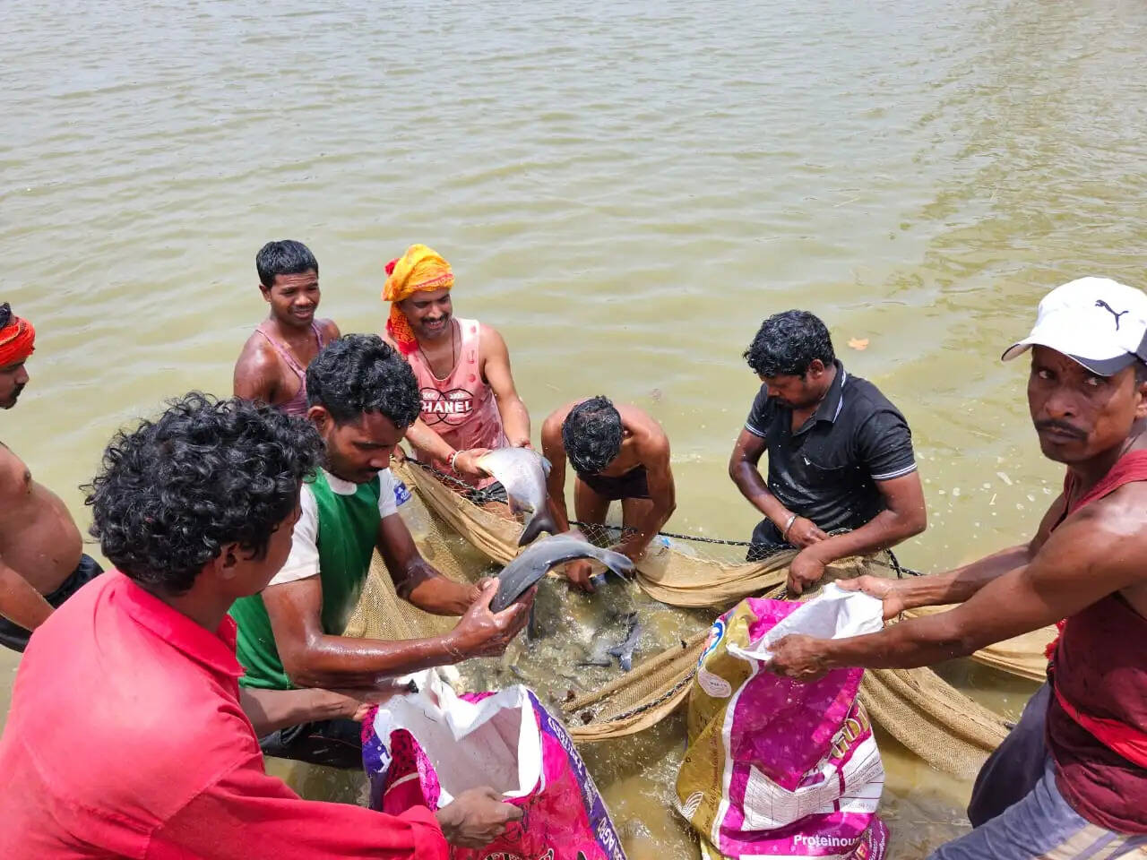 Ambikapur News: शासकीय योजना से मिली रोजगार की राह, दिनेश सिंह ने मत्स्य पालन से बनाई अपनी पहचान, अन्य लोगों को दे रहे हैं रोजगार