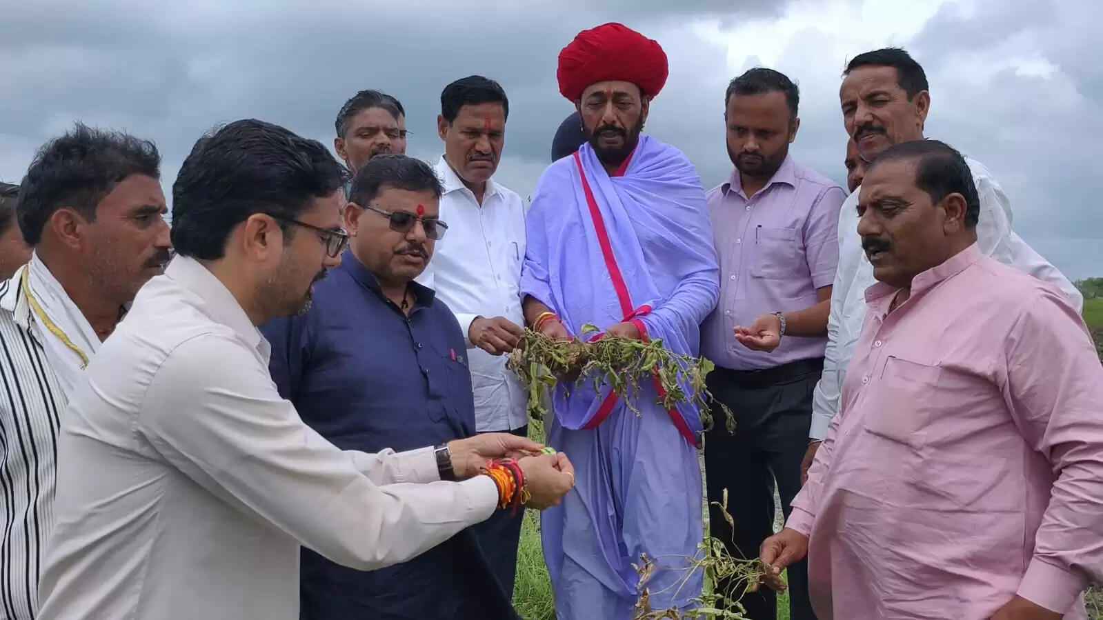 Rajasthan News: मंत्री ओटाराम देवासी ने अतिवृष्टि से हुई फसल क्षति का किया निरीक्षण, किसानों के लिए राहत का भरोसा